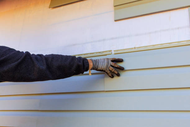  Edmore, MI Siding Installation & Repair Pros